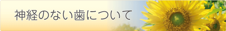 神経のない歯について