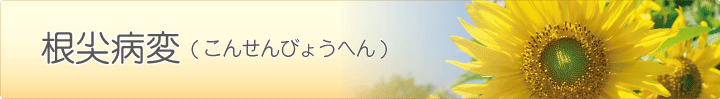 根尖病変（こんせんびょうへん）